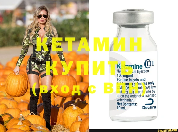 прущие крисы Новозыбков