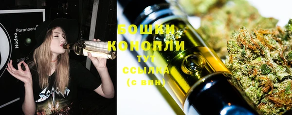 прущие крисы Новозыбков