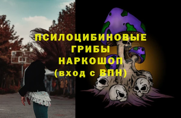 героин Новодвинск